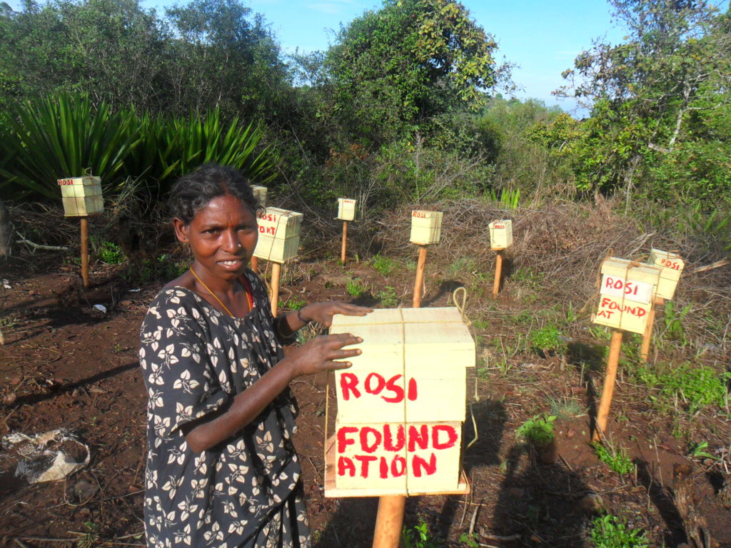 Ending violence on Tribe Women and girl