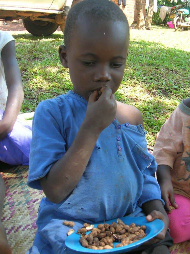 Provide school uniforms to 100 pupils in Uganda