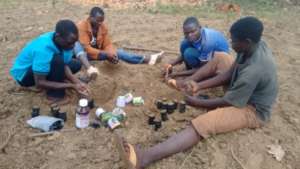 Planting seedlings for school tree nursery