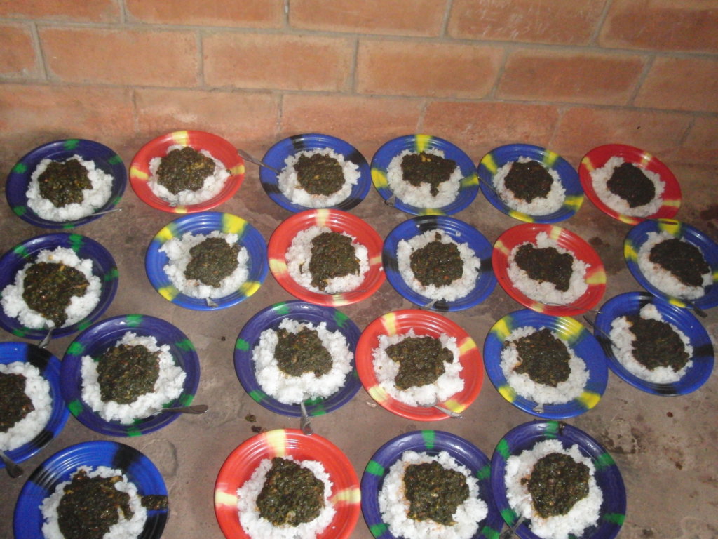 Help 250 Youth Recover From Ebola in Guinea