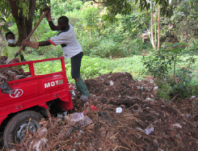 The damp material for the compost
