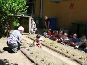 Vegetable garden in Italy