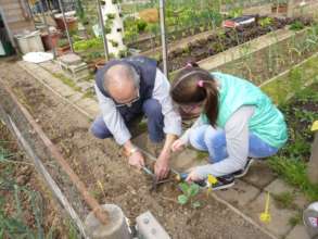 Vegetable garden in Italy_3