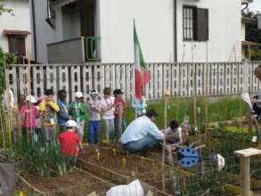 Vegetable garden in Italy_4