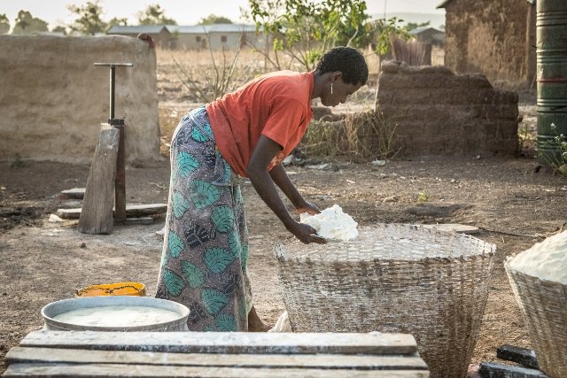 LET'S SEED THE FUTURE