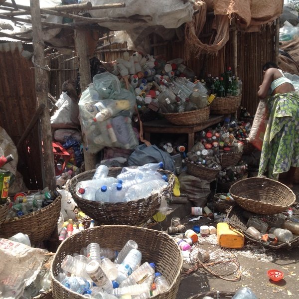 LET'S SEED THE FUTURE