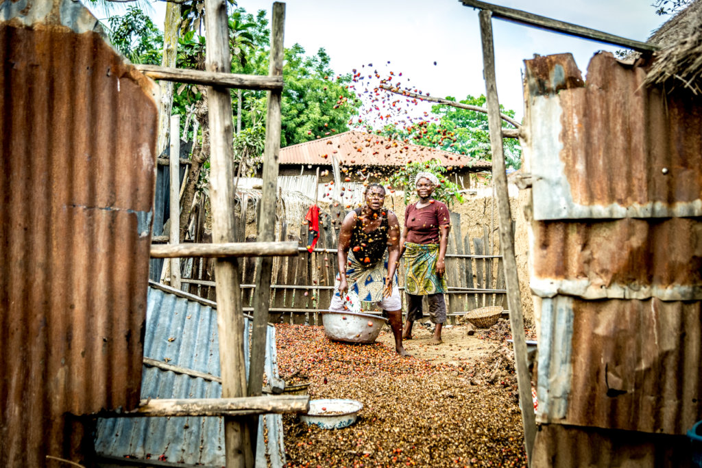 LET'S SEED THE FUTURE