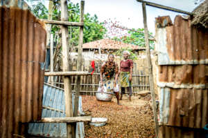 LET'S SEED THE FUTURE