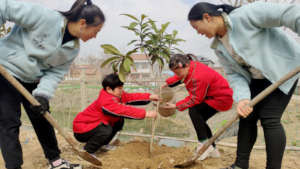 Community life is integral to well being.