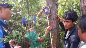 Measuring impact of new trees