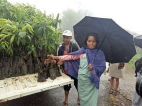 Self-Help Group member buying peach tree saplings