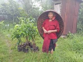 Self-Help Group member and her peach tree saplings