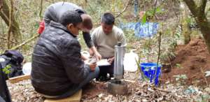 Examining forest-water interactions