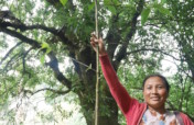 Grow 30,000 trees to restore India's cloud forest