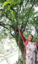 Grow 30,000 trees to restore India's cloud forest