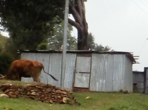 Shelter Built with the support