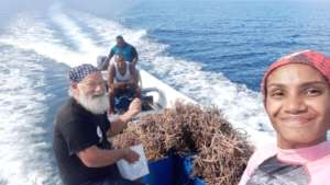 Transporting corals to the new algae-free nursery