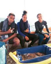 Coral Gardening Team Removing Coral-Killing COTS