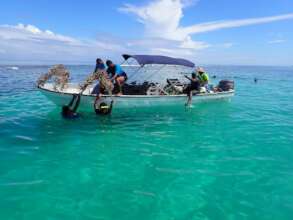 Super coral A-frames planted to the outer reef