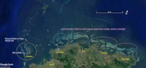 Ba Province map Naidiri Village and coral sites