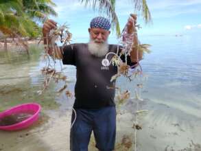 Austin helping Coral Gardeners in French Polynesia