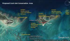 Map of nursery site and newly settled corals.