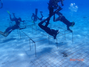Building Tuvalu Nursery