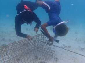 New A-frame Nursery for Heat Testing of Corals