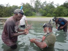 Coral Workshop, Vanuatu