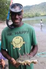 Happy Coral Planter, Malekula