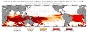 Severe bleaching predictions for 2024