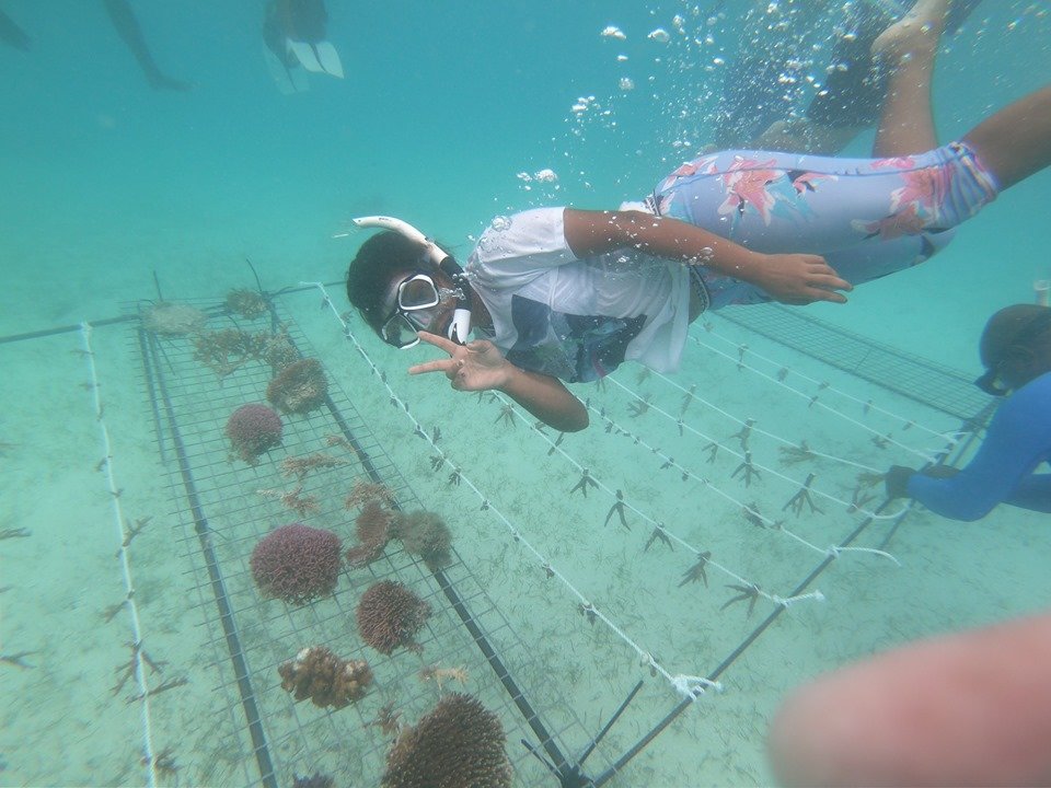 Sarah, a coral gardener hired by a local resort