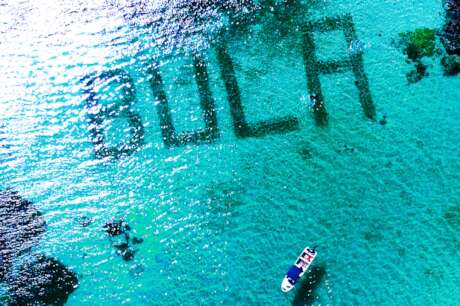 Emergency Response to Massive Coral Bleaching
