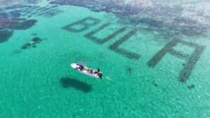 Emergency Response to Mass Coral Bleaching