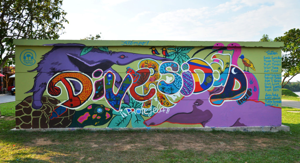 An Artistic Travel Through Biodiverse Colombia