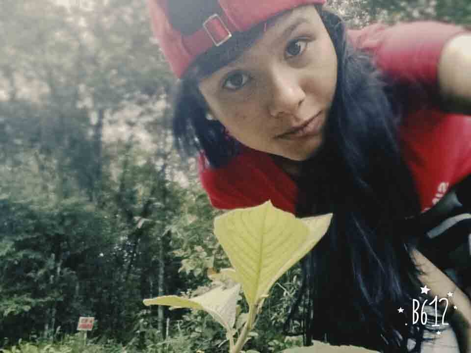 An Artistic Travel Through Biodiverse Colombia