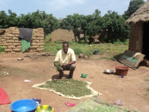 Dried greens from Famana