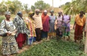 Help Our Nurturing Nutrition Program