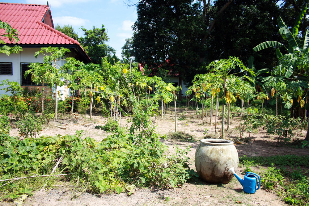 Protect Lao Girls From Human Trafficking