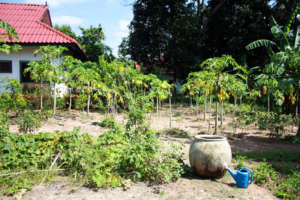 In-Shelter Garden