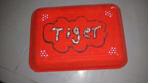 TIGER GIRLS