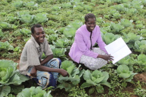 Providing technical support to livelihood groups