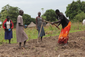 Mary planting maize together with her children