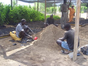 TRAINED MASAI WORKERS TEND TO NURSERY