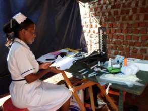 Nurse Teaching Health Awareness