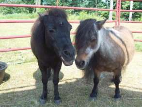 Cupcake and Becky