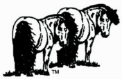Personal Ponies "Senior Citizens"