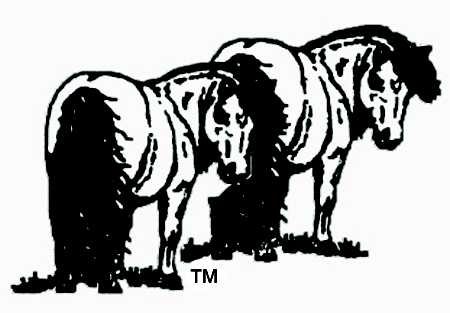 Personal Ponies "Senior Citizens"