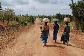 Malawi women going to market