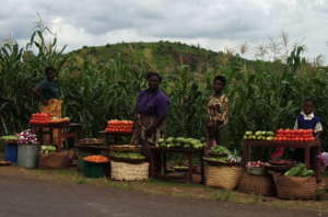 Selling by the road